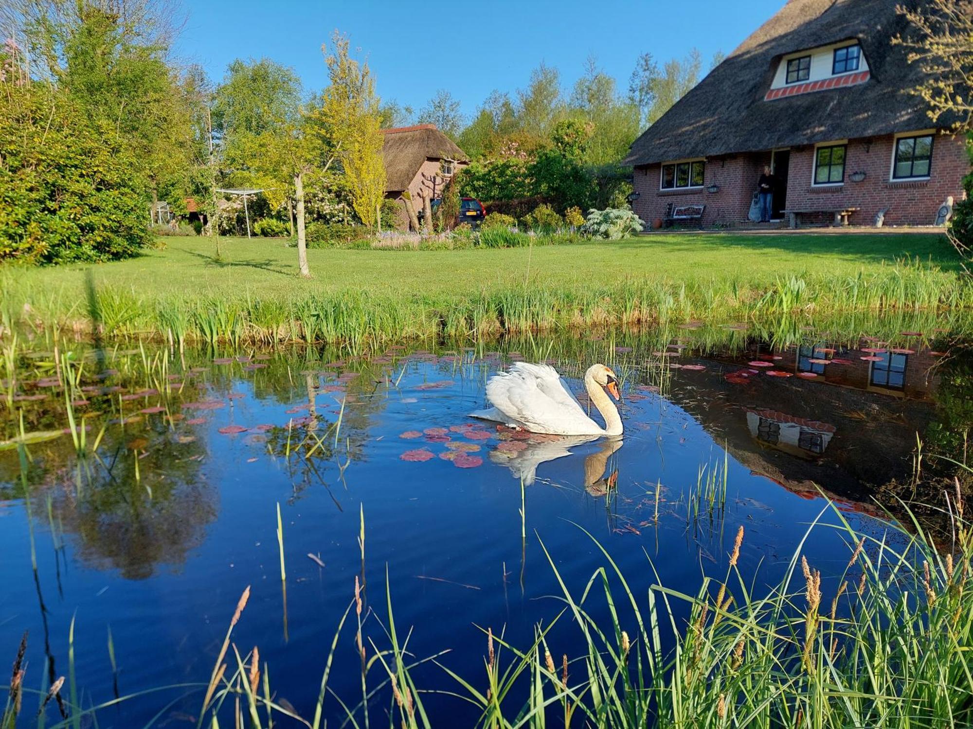 Giethoorn Lodge エクステリア 写真