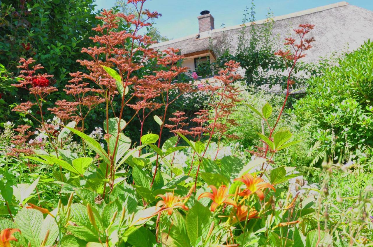 Giethoorn Lodge エクステリア 写真